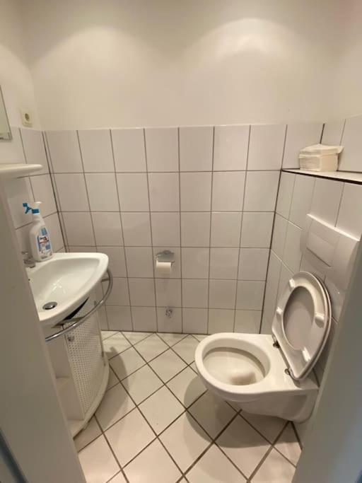 Studio 50 Qm Zentral In Domnaehe 쾰른 외부 사진